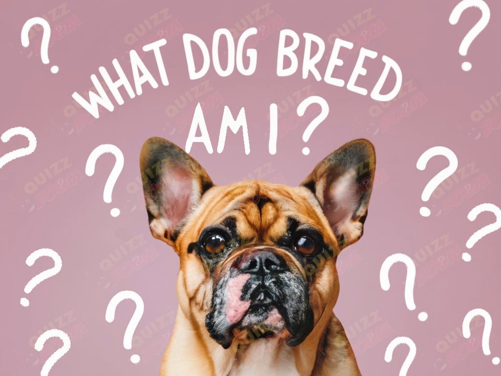Discover Your Perfect Pooch with Our Funny Dog Breed Quiz