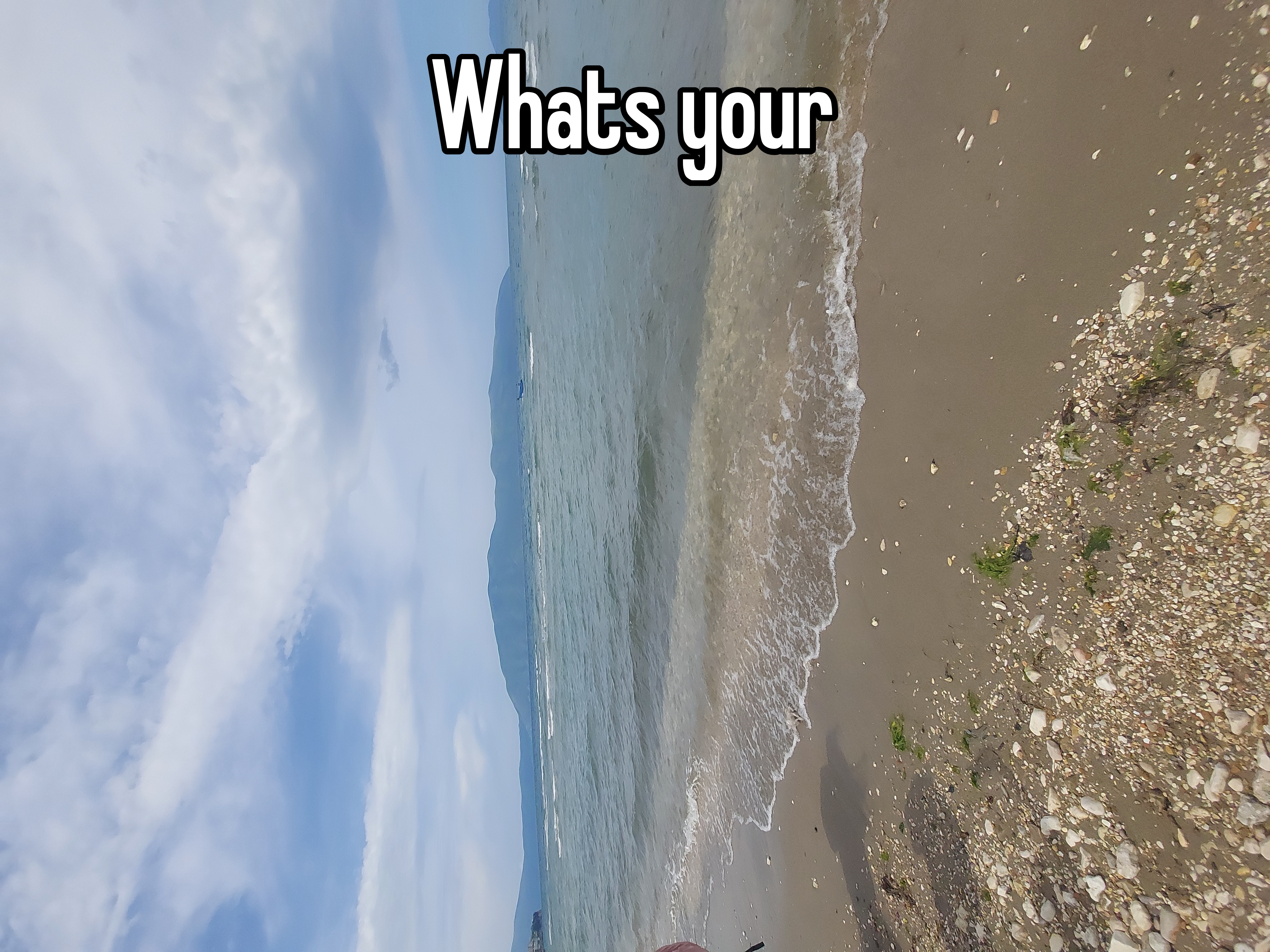 Whats your 